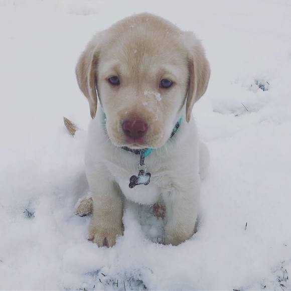 Meet your Posher, Emilie - Picture 1 of 1